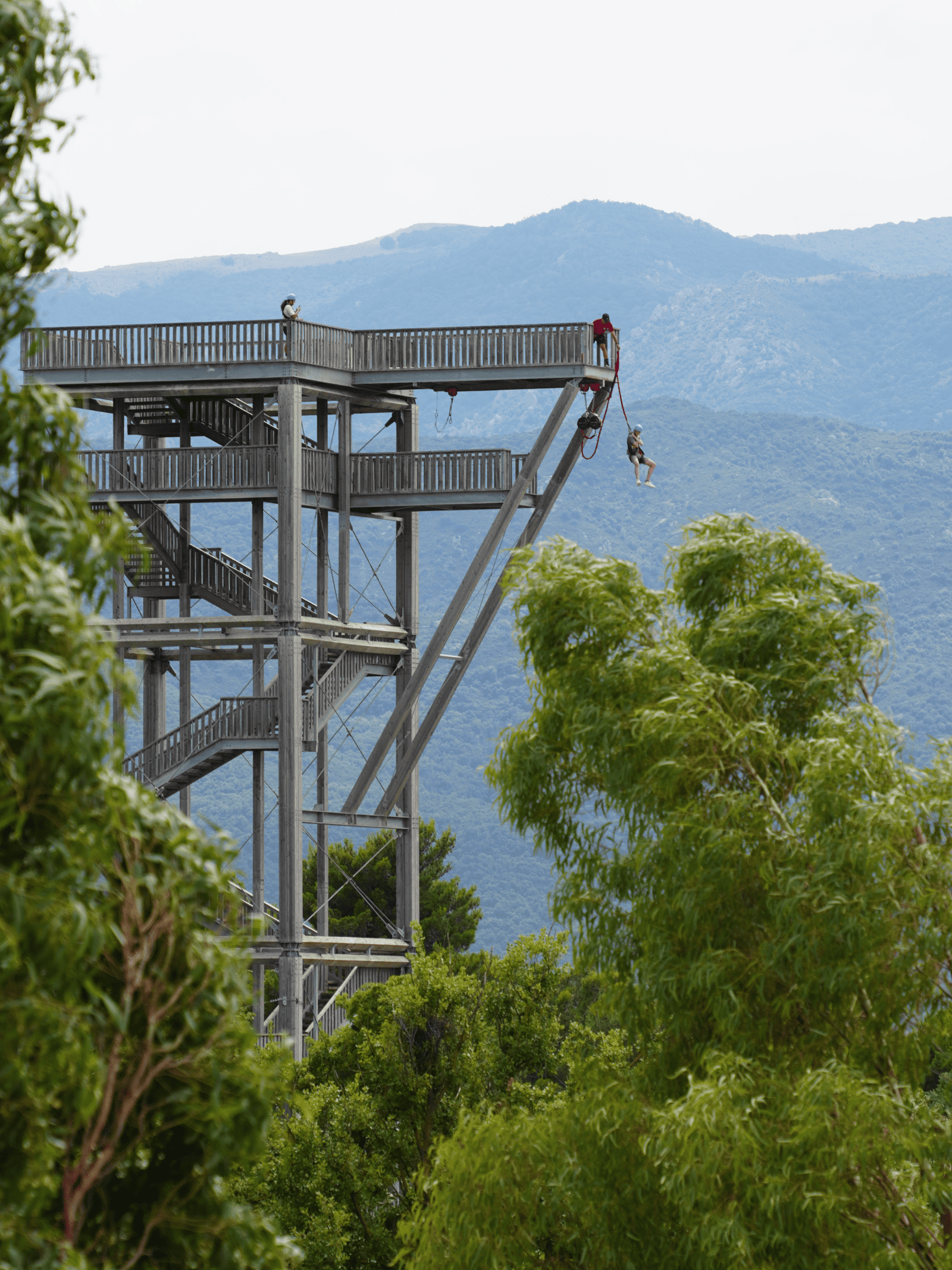 @paradiseaventures